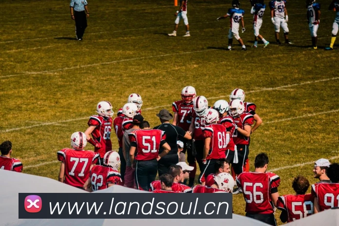 星空体育首页官网APP 封面图